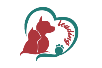 Product - Qingdao Leading Pet Products Co., Ltd. - China