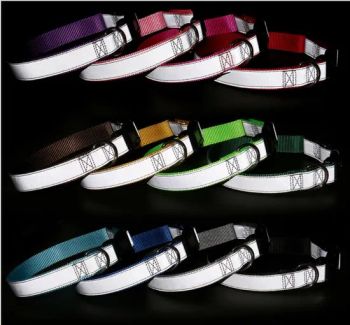 Low MOQ Dog Accessories Pet Collar Leash Set MOQ 100PCS Width 2.5CM Origin China Condition New Model NO. DL897 Application - Shenzhen Sweetpet Pet Product Co., Ltd. - China