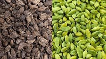 Green Cardamom & Black Cardamom, Cinnamon, Black Pepper, ClovesPepper, - ANUPAM  EXPORTS - India