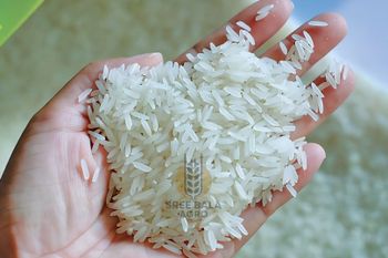 Basmati Rice from SREE BALA AGRO Basmati Rice - SREE BALA AGRO - India