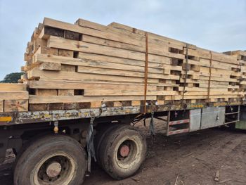 Imported Pinewood - SHIVAM TRADELINK - India