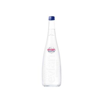 Evian Sparkling available in bulk or retail cartons for global delivery - MASI TRADING GMBH - Germany
