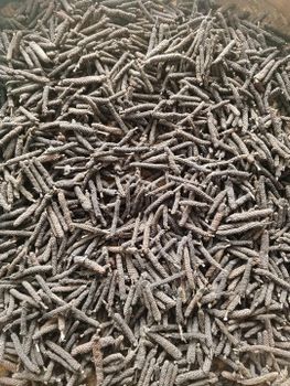 javanese long pepper - mirzaherbsspice - Indonesia