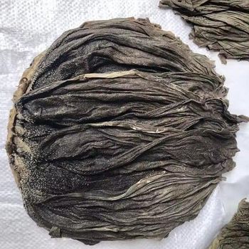 Premium Quality Dry Salted Beef Omasum for Export | Dried Frozen & Fresh Omasum | High Protein Beef Tripe Supplier - TRADECENTRIC LLC - United States