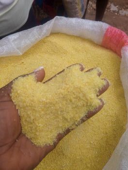 Yellow Garri and Ijebu Garri from B_Blessed Food Farms Integrated enterprise Yellow Garri and Ijebu Garri - B_Blessed Food Farms Integrated enterprise - Nigeria