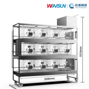 User Friendly Design Various Size Wash Pet Animal Cage for Veterinary Use - Jiangsu Wansheng Precision Sheet Metal Co., Ltd. - China