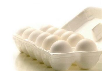 eggs Storage Temperature 4-8 C Packaging Configuration 6, 12, 30 Eggs In - Delmundial - Iran