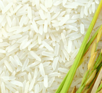 Factory direct Sella Basmati rice supplied in bulk for food markets and importers from AGRONOVA Factory direct Sella Basmati rice supplied in bulk for food markets and importers - AGRONOVA - United States