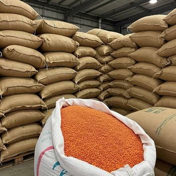 Red Lentils from Jtenk Group Of Company Red Lentils - Jtenk Group Of Company - Cameroon