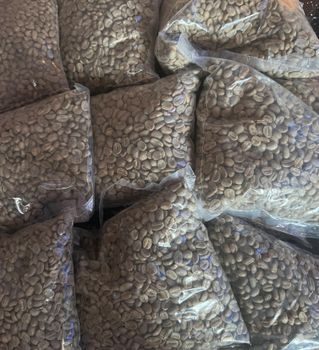 Mount Elgon Ugandan Washed Arabica Green Coffee Beans from YFCE group Mount Elgon Ugandan Washed Arabica Green Coffee Beans - YFCE group - Uganda