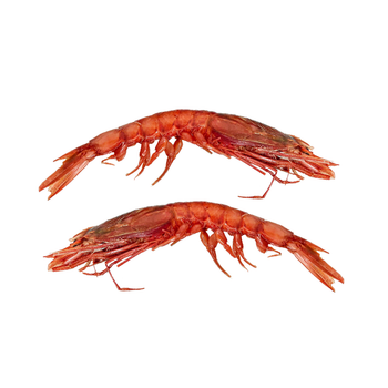 Frozen Fresh Red Shrimps Naturally Flavorful Seafood Product With Trusted Cold Storage Handling And Export Support - TOSOH INTERNATIONAL - South Africa