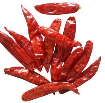 Sannam Red Chillies - Ujjval Consultancy - India