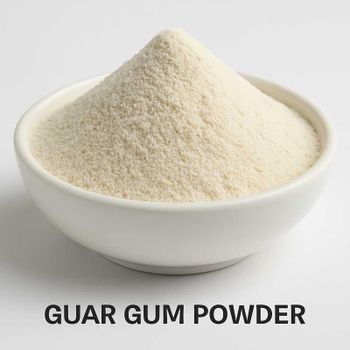 Guar Gum Powder - Astral Tradelink Pvt Ltd - India