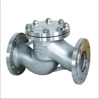 Premium High Pressure Vertical Hydraulic Check Valve for Natural Gas Systems - Nanjing Zhongxun Pipeline Equipment Co., Ltd - China