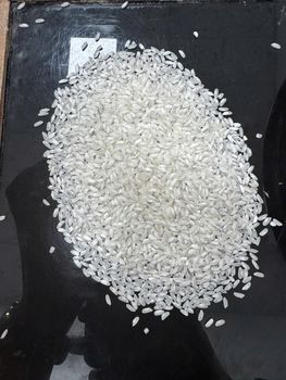 Medium Grain Rice - MEKONIMEX - Vietnam