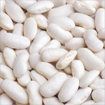 Fresh White Kidney Beans High Grade Whole Beans Affordable Wholesale & Bulk Supply from A.C.P. AGRICULTURE COMPANY LIMITED Fresh White Kidney Beans High Grade Whole Beans Affordable Wholesale & Bulk Supply - A.C.P. AGRICULTURE COMPANY LIMITED - Thailand