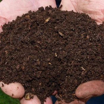 Cow Dung with Culture Packaging Sizes 1 Kg, 5 Kg, And 25 Kg Soil Conditioner Type Premium Organic Soil Conditioner Eco-friendliness 100% Chemical-free, Ideal For Organic Farming And Sustainable Gardening - Hareesh international - India