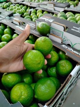 Limes Type - COMERCIAL IMPORTADORA E EXPORTADORA GALLINDO HORTIFRUTI LTDA - Brazil