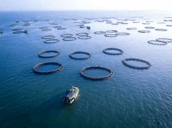 Round HDPE Floating Fish Cage, Floating HDPE Fish Aquaculture Breeding Farming Cage with Net Fish Farming Equipment Fishing Equipment - Chongqing New Maritime Import & Export Co., Ltd. - China