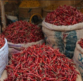 Dry Red Chilli Total Ash 8% Loose Seeds 2% Taste Hot, Spicy Foreign Matter 1% Moisture Content 12% Color Red To Deep Red - MY COCOA - Cameroon