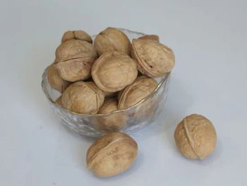 Factory Price Supply Big Size 35mm+ Delicious Chinese Walnut in Shell Washed and Unwashed Xingfu and 33 - Hebei ShengMeng Foodstuff Co., Ltd - China