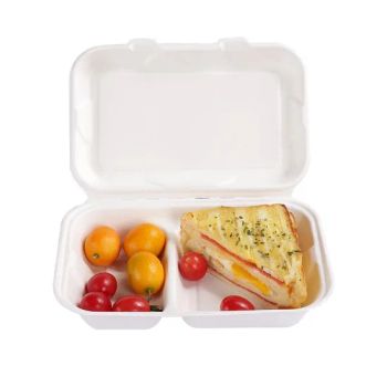 Sugarcane 9"X 6"X 3" 2 Compartment Box Factory Disposable Biodegradable Tableware - Anhui Herten Environmental Protection Products Co., Ltd. - China