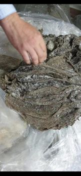 Salted Beef Omasum - HusCompagniet A/S - Denmark