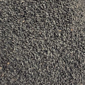 Pure Organic Nigella Seed High Quality Nigella Seed Packed for Bulk Wholesale and Direct Supply to Global Markets - AGRO AFRIQUE COMPANY LIMITED - Tanzania