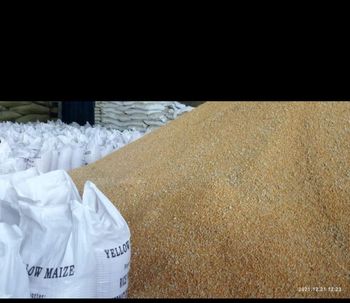 Wheat Bran - Yellow Corn Ash Content 6.5% Max Fibre Content 10% Max Weight (kg) 25000 kgs Broken Kernels 3.0% Max Starch Content 25 Ppb Max - BK GLOBAL GRAINS KARACHI PAKISTAN - Pakistan