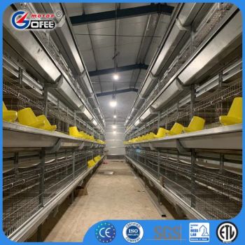 3-8 Tiers Poultry Farm Layer Cages Bird Cages - Shandong Gofee Husbandry Technology Co., Ltd. - China