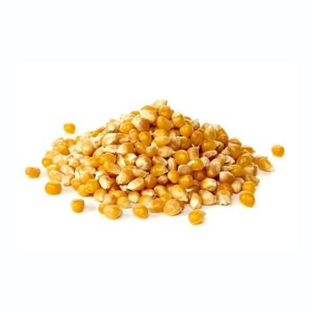 Affordable yellow corn available in large quantity for distributors and buyers - HIGHPROFILE AGRICULTURE SERVICES LIMITED - Tanzania