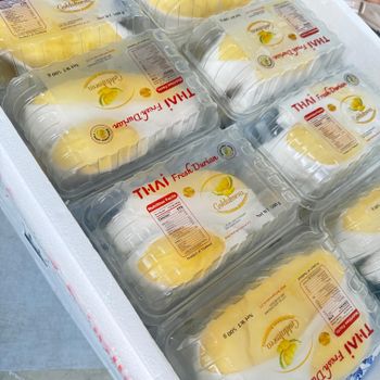 Peeled Durian Mon Thong Premium Fresh Organic King of Fruits Original Taste From Thailand Rich & Creamy 500G/BOX (Peeled) from NUMBER ONE 789 CO., LTD. Peeled Durian Mon Thong Premium Fresh Organic King of Fruits Original Taste From Thailand Rich & Creamy 500G/BOX (Peeled) - NUMBER ONE 789 CO., LTD. - Thailand