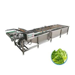 Vegetable Fruit Washing Machine Mango Apple Lettuce Washing Processing Line Washer - Henan Baixin Machinery Equipment Co., Ltd. - China
