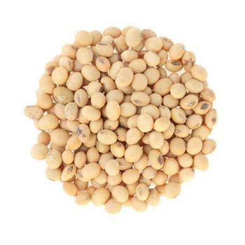 soybeans available at wholesale price for food distributors and global exporters – product photo, Soybeans products found from trusted suppliers, wholesalers, manufacturers & exporters Listing