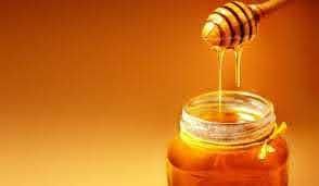 Pure Honey, bulk honey - EATBRYTES P. LTD. - India