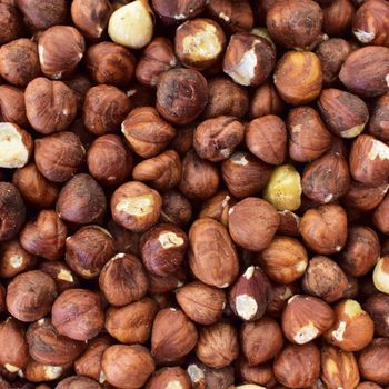 Hot Sale Premium Hazelnut Nuts Natural Shelled and Unshelled Hazelnuts Healthy Snack for Baking Cooking and Food Processing - agroturaspzoo - Poland
