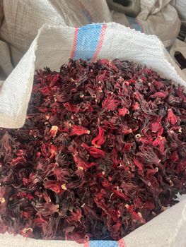 Hibiscus – product photo, Hibiscus products found from trusted suppliers, wholesalers, manufacturers & exporters Listing