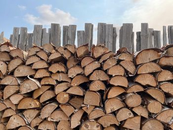 Birch Firewood Kiln Dried  Premium Mixed Hardwood Oak Ash Pine Birch Ideal For Strong Heat Output Clean Flame And Efficient Burning Fireplace Stove Camping Buy Now Wholesale Supply Available - wood traders - Poland