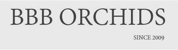 Product from BBB ORCHIDS Product – product photo, Arisaema Flower Bulbs products found from trusted suppliers, wholesalers, manufacturers & exporters Listing