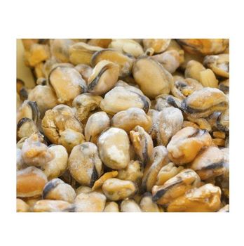Hot Selling Price Frozen Shellfish Mussels / Frozen Mussel Meat With Shell (Seafood) in Bulk - Exigentelaxia Unipessoal Lda - Portugal