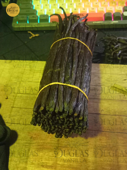 Vanilla Bean - duglas vanilla - Sri Lanka