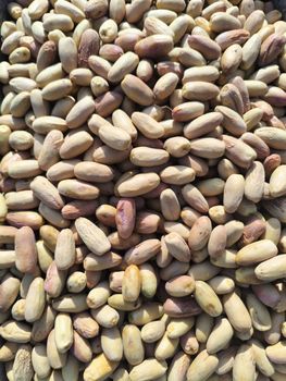 Dried Dates from Harvest Dried Dates - Harvest - Global