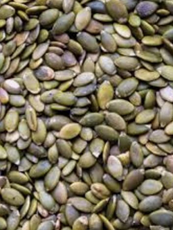 Natural White Sesame Seeds Sesame Seeds Exporters High Quality Fast Shipping Organic Sesame Seeds Suppliers - Almaa SCS - Belgium