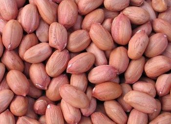 Groundnuts Oil Content 47-53% Protein Content 25-36% Primary Use Edible Oil And Vegetable Protein Global Production Utilization 75% For Edible Oil - Sthemic Group - Global
