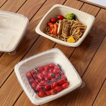 Eco-Friendly Disposable Paper Bowl with Lid for Food Packaging Dishes & Plates - Quanzhou Jiesensi Trading Co., Ltd. - China