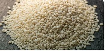 Sesame Seeds - Terannoval Global Limited - Nigeria
