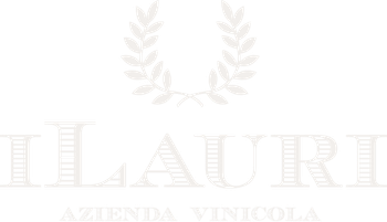 Product - AZIENDA VINICOLA TALAMONTI SRL - Global
