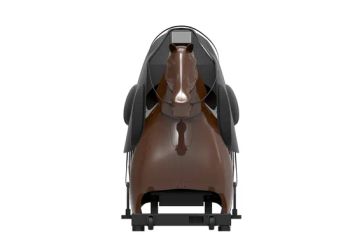 Trainer Racecourse Horse Training Equipment Electric Horse Riding Machine for Rehabilitation - Wuhan Bailih Sports Equipment Co., Ltd. - China