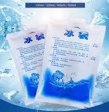 Friendly Custom Transportation Cooling Ice Gel Pack Cold Gel Pack Ice Pack for Food Shipping with Logo - Beijing Chemeebio Pharma-Tech Co., Ltd. - China