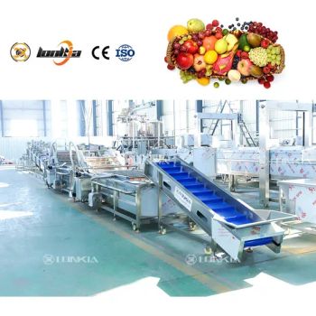 Vegetable Cabbage and Spinach Cleaning Machine Bubble Fresh Fruit Salad Washing Machine - Zhucheng Lonkia Co., Ltd - China